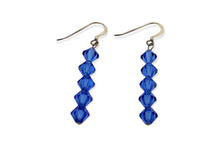 Load image into Gallery viewer, The Elements Earrings
